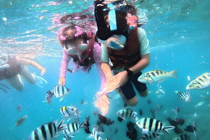 Bali Blue Lagoon Snorkeling Tour All Inclusive - Who Should Consider This Tour?