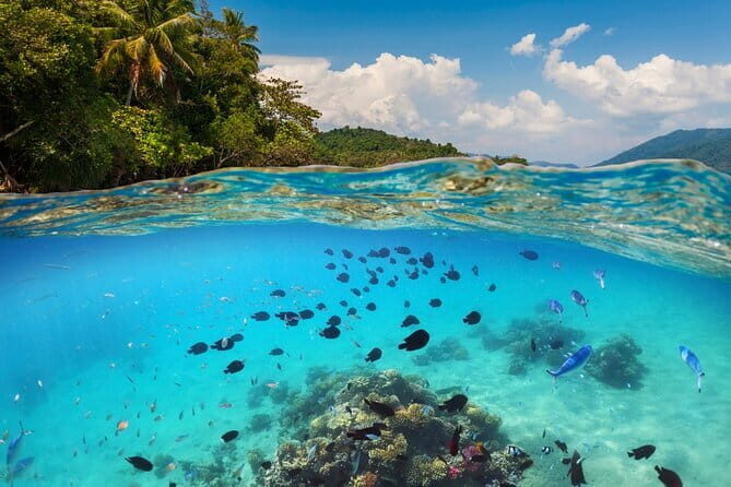 Bali Blue Lagoon Snorkeling Tour All Inclusive - Good To Know