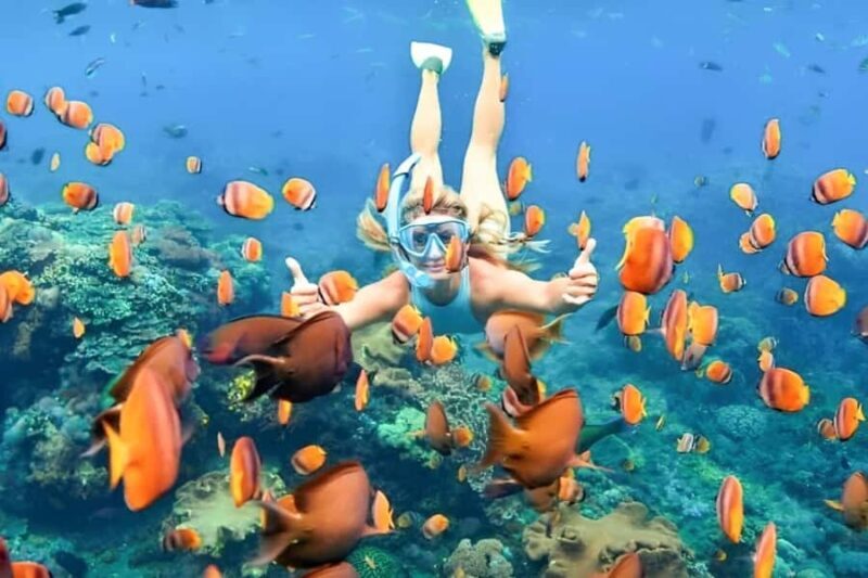 Bali: Blue Lagoon Snorkeling Tour with Ayung River Rafting - Who Will Love This Experience?