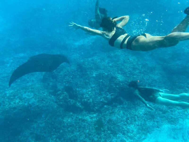 Bali: Blue Lagoon Snorkeling & UTV Buggy Adventure - Good To Know