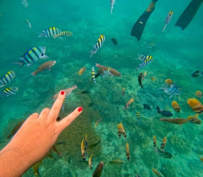 Bali: Blue Lagoon Snorkeling, Waterfall, and Temple Tour - Good To Know