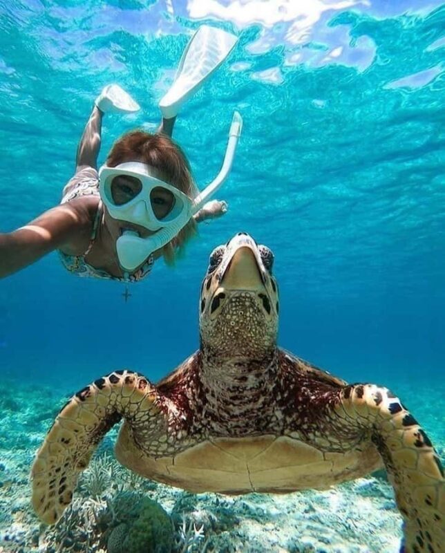 Bali: Blue Lagoon Snorkeling & Waterfalls Day Trip - Discovering Bali’s Underwater World at Blue Lagoon and Tanjung Jepun