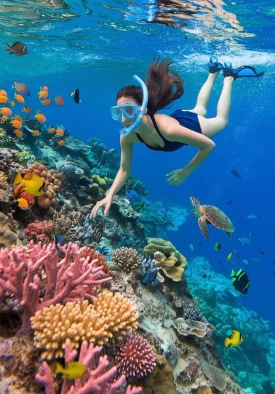 Bali: Blue Lagoon Snorkeling & Waterfalls Day Trip - Price and Value
