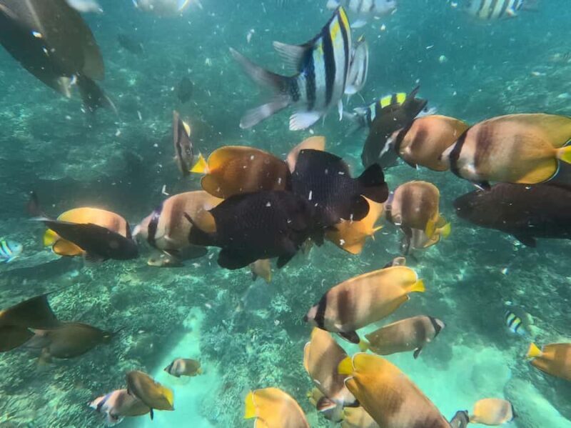 Bali: Blue Lagoon Snorkeling With GoPro Capture & Transfers - FAQ: Common Questions Answered