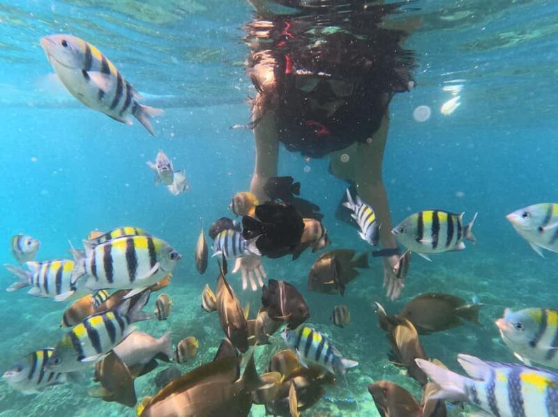 Bali: Blue Lagoon Snorkeling With GoPro Capture & Transfers - Final Thoughts