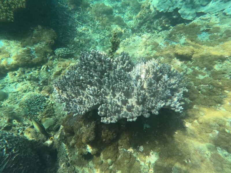 Bali: Blue Lagoon Snorkeling With GoPro Capture & Transfers - Exploring the Itinerary: What You Can Expect