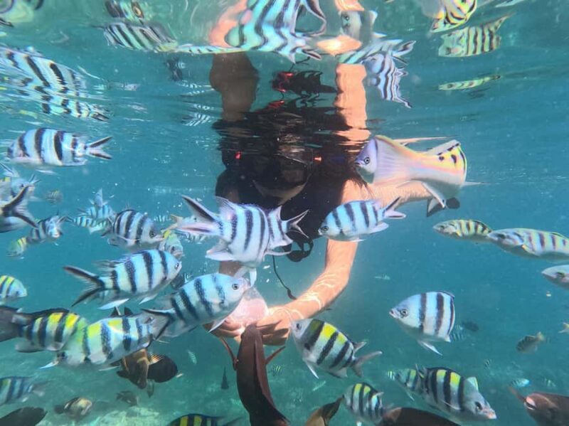 Bali: Blue Lagoon Snorkeling With GoPro Capture & Transfers - What Makes This Tour a Good Fit?