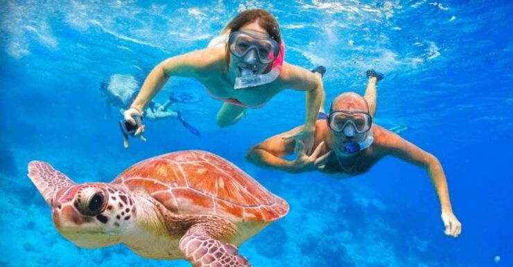 Bali Blue Lagoon Snorkeling With Lunch and Private Transfer - Activity Details