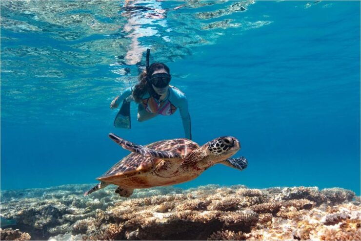 Bali: Blue Lagoon Snorkeling With Lunch & Transport - Key Points