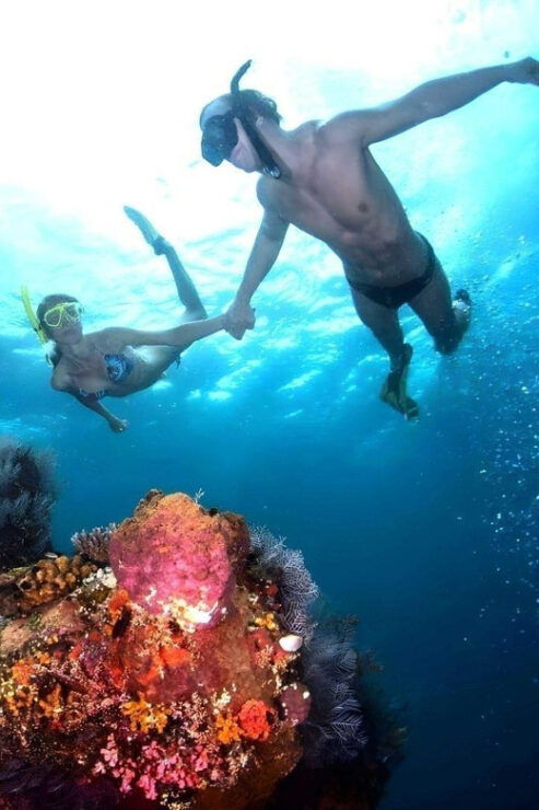 Bali: Blue Lagoon Snorkeling With Lunch & Transport - Experience Highlights