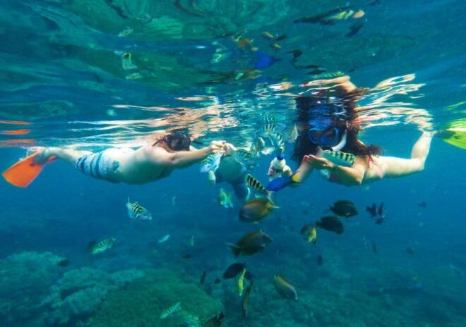 Bali: Blue Lagoon Snorkeling With Lunch & Transport - Booking Process