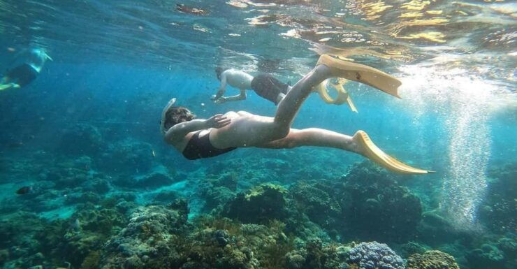Bali: Blue Lagoon Snorkeling With Meal - Good To Know