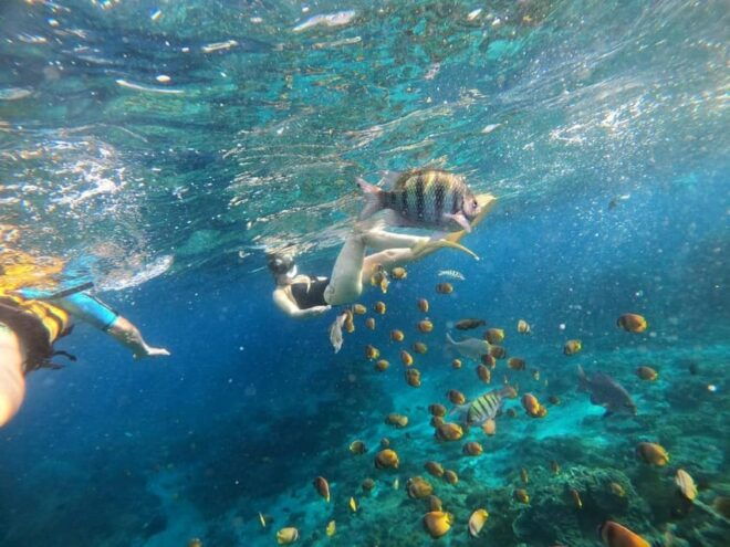 Bali: Blue Lagoon Snorkeling With Meal - Itinerary and Transportation