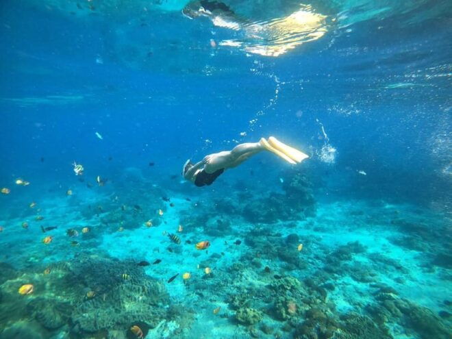 Bali: Blue Lagoon Snorkeling With Meal - Inclusions