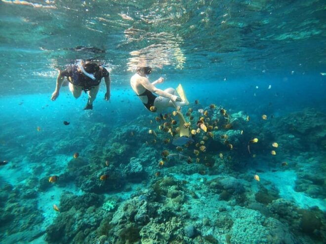 Bali: Blue Lagoon Snorkeling With Meal - Language and Guidance
