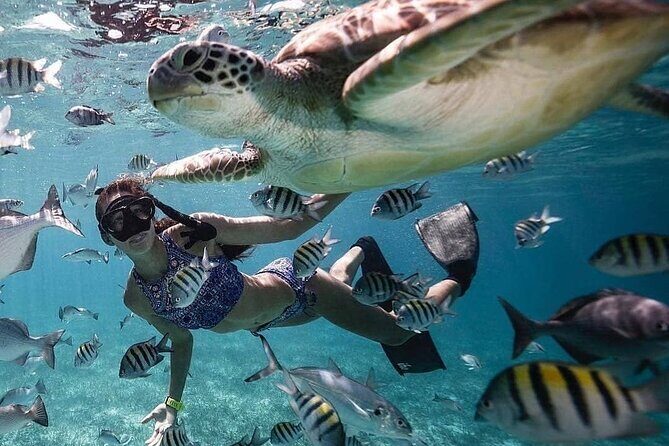 Bali Blue Lagoon Snorkeling with Optional Tours or Activities - Good To Know