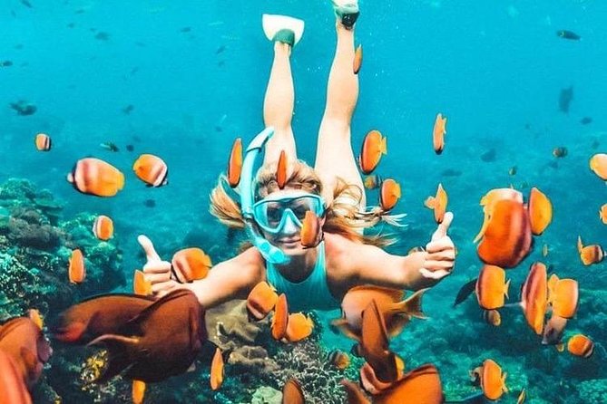 Bali Blue Lagoon Snorkeling With Optional Tours Private Transport - Pricing and Booking Details