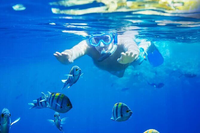 Bali Blue Lagoon Snorkeling with Private Transfer and Lunch - Good To Know