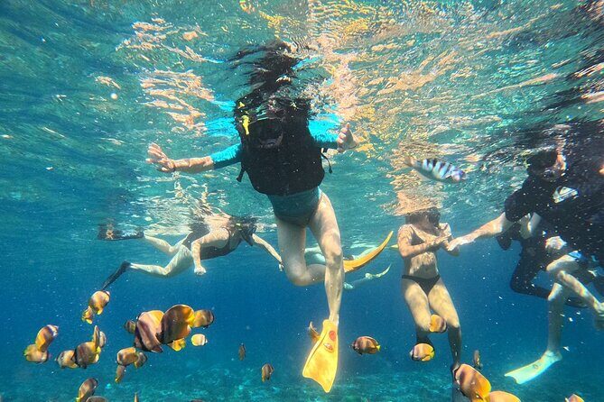 Bali Blue Lagoon Snorkling , Waterfalls - An In-Depth Look at the Tour Itinerary