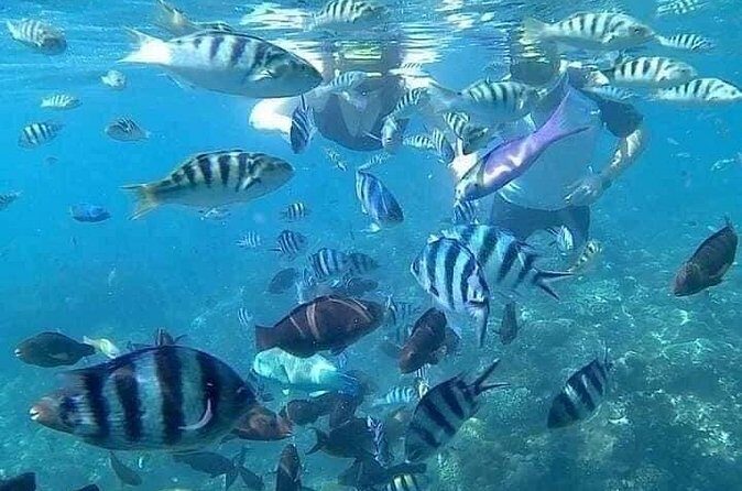 Bali Blue Lagoon Snorkling , Waterfalls - Who Would Love This Tour?