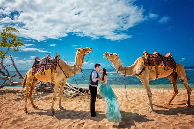 Bali Camel Ride on the Beach With Photo Session - Overview and What To Expect