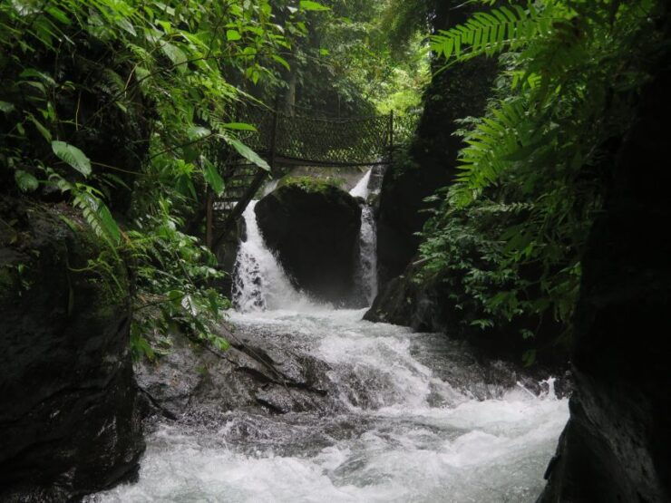Bali: Canyon Tubing Adventure - Instructor Information
