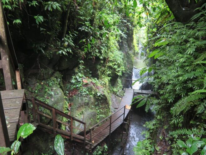 Bali: Canyon Tubing Adventure - Pickup Service