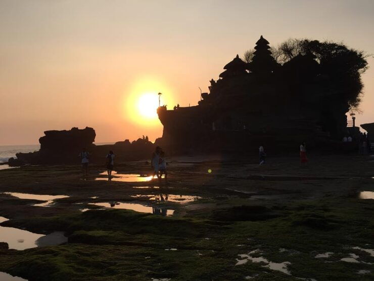 Bali : Car Charter With Driver Cum Guide - Service Features