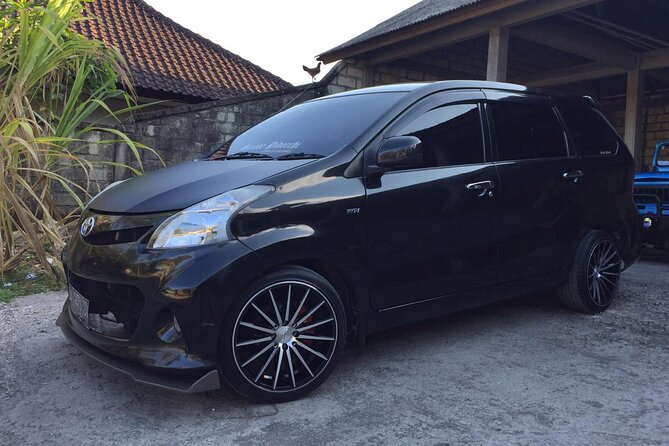 Bali Car Hire With Private Chauffeur - Meeting and Pickup Details