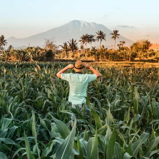 Bali Car Rental With Driver - Key Points
