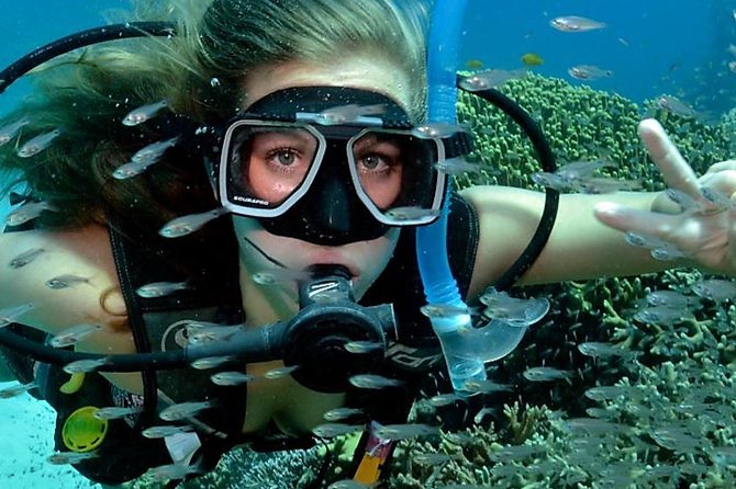 Bali Cheap Water Sport Package SCUBA DIVING,FLY FISH,JET SKY - Good To Know