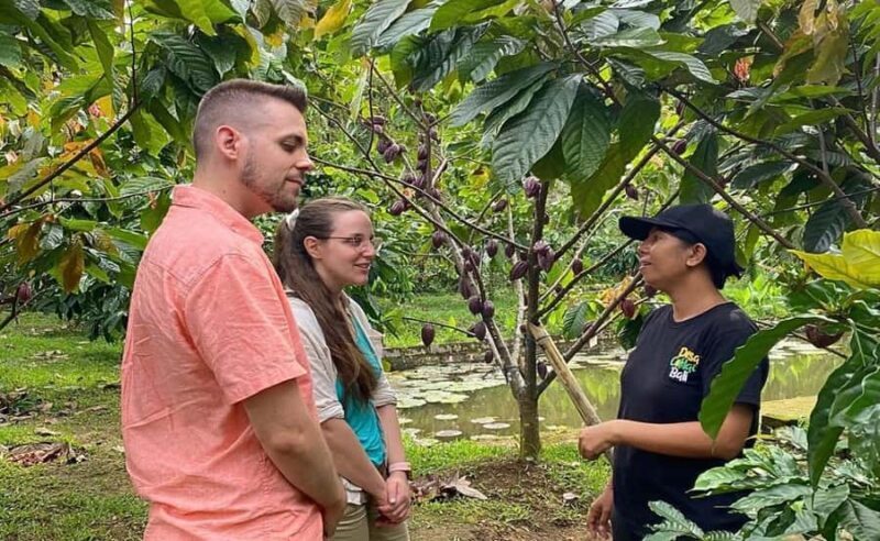 Bali: Chocolate Tour with Rice Terraces and Temple Visit - Good To Know