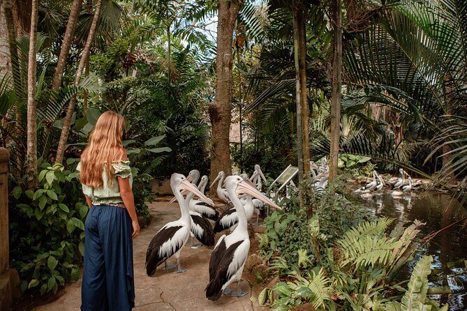 Bali City Pass Classic Attractions Sunrise Trek and More - Good To Know