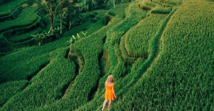 Bali: Clasic Bali Tour All Inclussive - Key Points