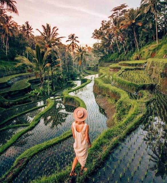 Bali: Clasic Bali Tour All Inclussive - Itinerary Highlights