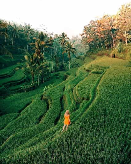 Bali: Clasic Bali Tour All Inclussive - Inclusions and Amenities