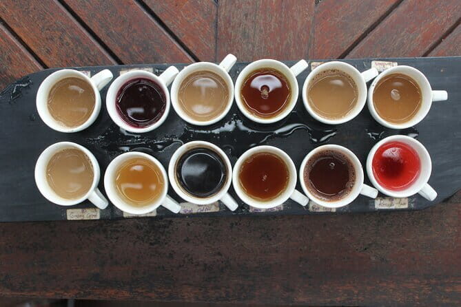 Bali Classic Volkswagen Safari and Kintamani Volcano Private Tour - Practical Details and What to Expect