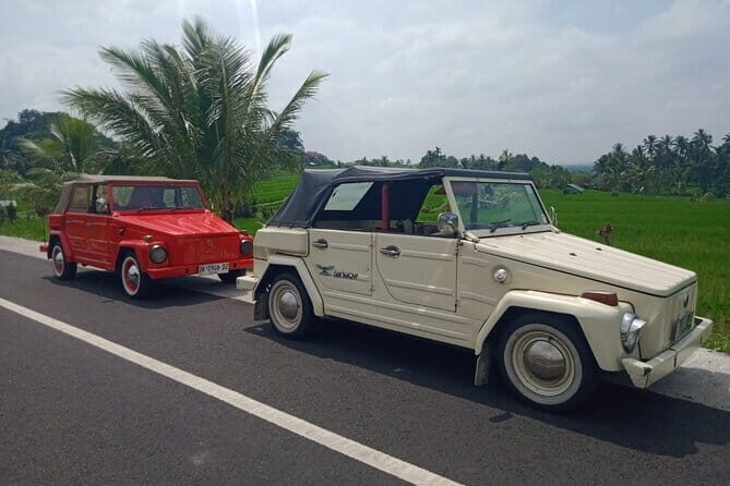 Bali Classic Volkswagen Safari and Kintamani Volcano Private Tour - Good To Know