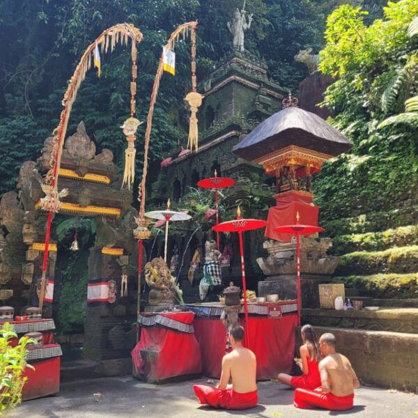 Bali: Cleaning & Purification Journey With Photographer - Booking Information