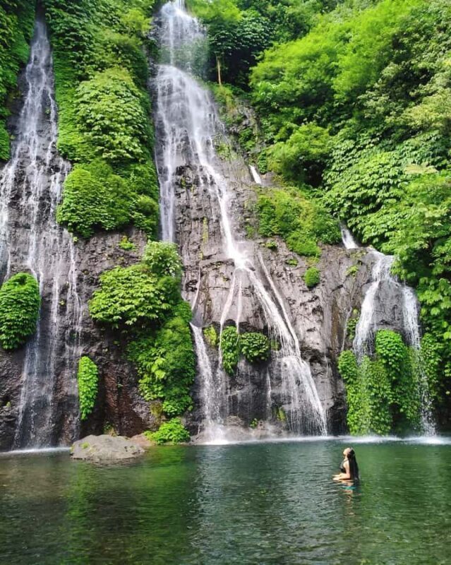 Bali: Cliff Jumping Gitgit Waterfalls & Rice Terrace Tour - Who Will Love It