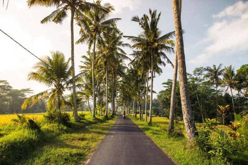 Bali Coastal Magic Waterblow,Canggu Vibes & Tanah Lot Sunset - FAQ