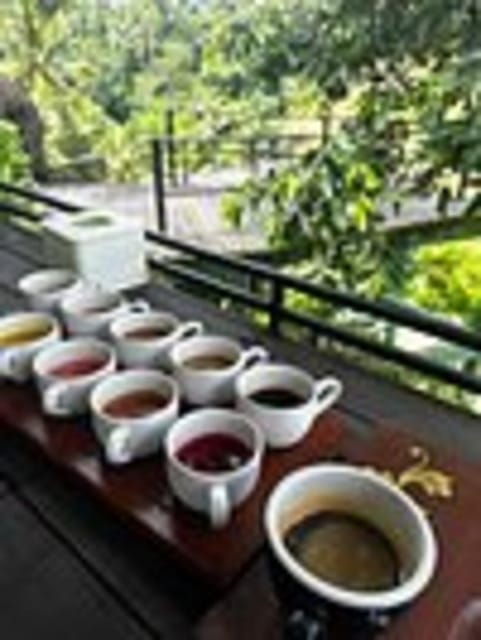 Bali Combination: Ubud Tour & Spa Experience - All Inclusive - Important Information