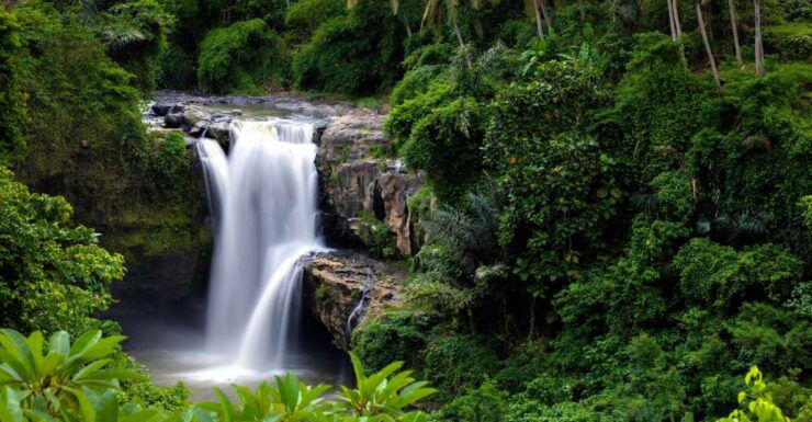 Bali: Costumized Tour With Private Transport and Guide - Tour Highlights