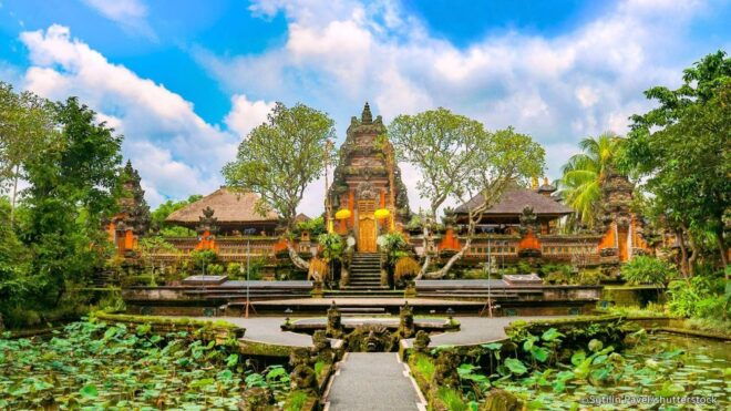 Bali: Costumized Tour With Private Transport and Guide - Tour Description