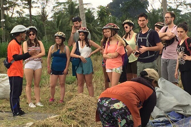 Bali Countryside Cycling Tour by Halo Bike Tour - Who Will Love This Tour?