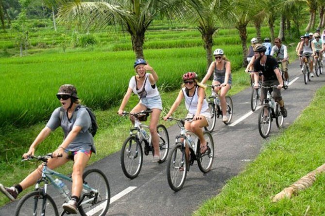 Bali Countryside Cycling Tour by Halo Bike Tour - Why You’ll Love the Bali Countryside Cycling Tour