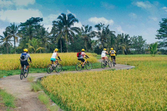 Bali Countryside Cycling Tour - Sharing Transport - Pick Up Locations and Timing