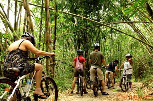 Bali Countryside Cycling Tour - The Sum Up