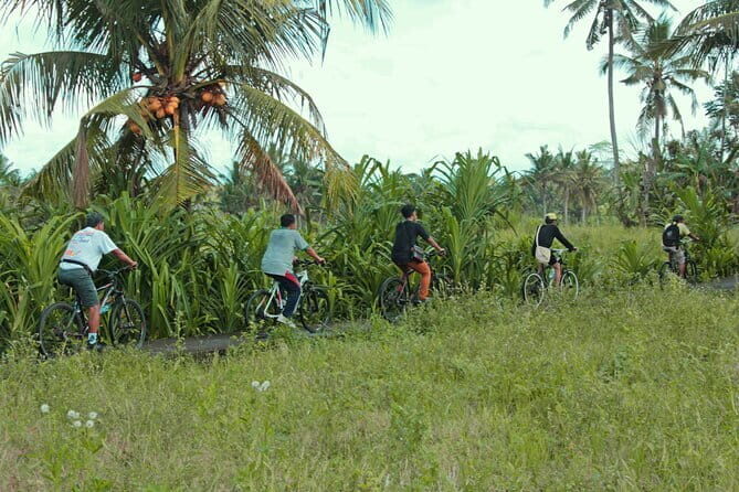 Bali Countryside Eco Cycling Tour include Lunch - Exploring the Bali Countryside on an Eco-Friendly Cycling Tour
