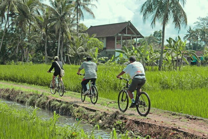 Bali Countryside Eco Cycling Tour include Lunch - A Closer Look at the Experience